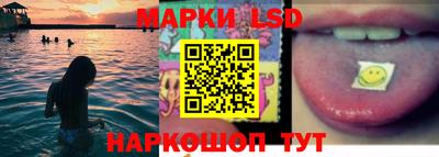 МДПВ Новодвинск