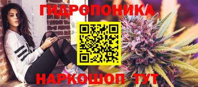 дмт Новозыбков