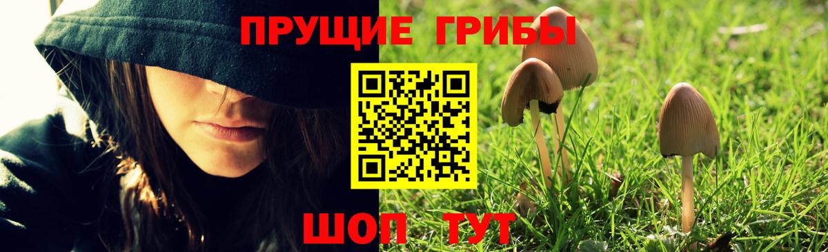 Галлюциногенные грибы мухоморы  Псилоцибиновые грибы Magic Shrooms  Вход с VPN  где найти наркотики  Пугачёв 